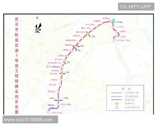 武汉排球队近期表现分析与未来发展方向探讨 武汉排球队近期表现分析与未来发展方向探讨